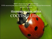 Презентация по экологии  Кокцинеллида