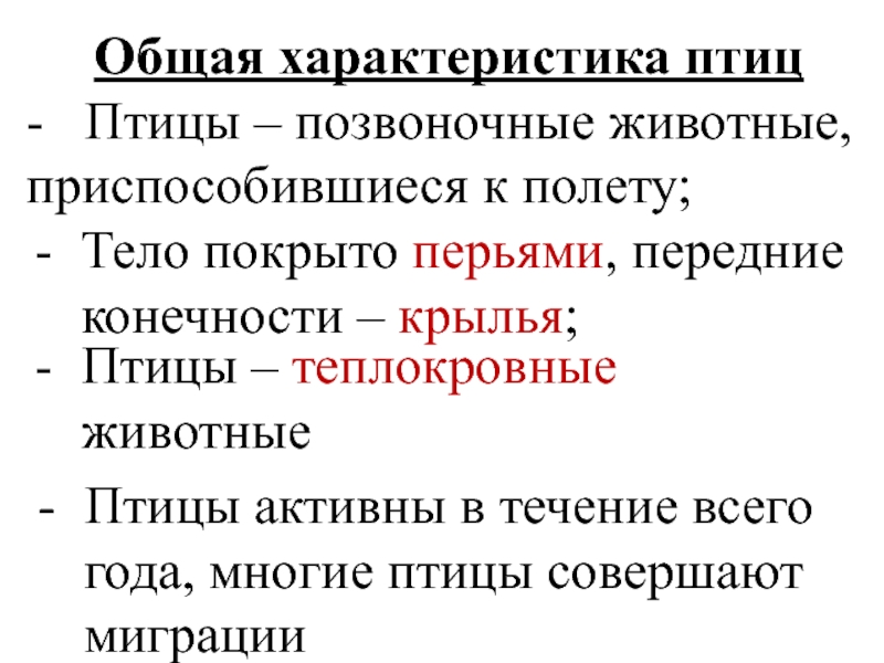 Класс птицы общая характеристика презентация 7 класс