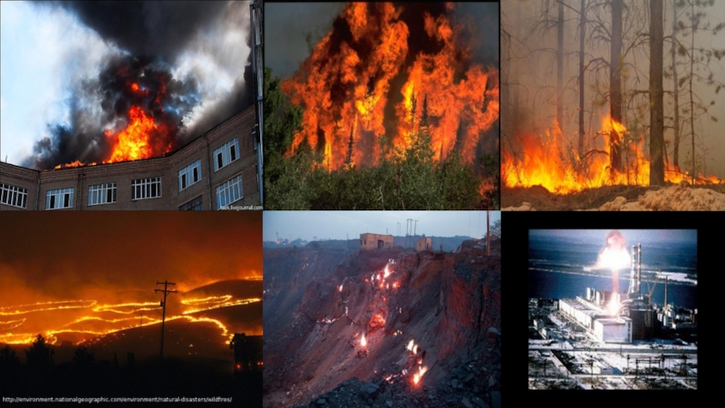 Методы Борьбы С Пожарами Реферат По Экологии