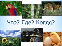 Презентация по биологии на тему Что, где, когда
