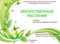 Исследовательская работа Лекарственные растения Ростовской области