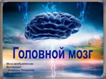 Презентация по биологии на тему Головной мозг позволяет учащимся самостоятельно изучить материал. Подробное изложение строения и функций отделов мозга. Все слайды презентации имеют содержательные иллюстрации позволяющие визуально осваивать материал.