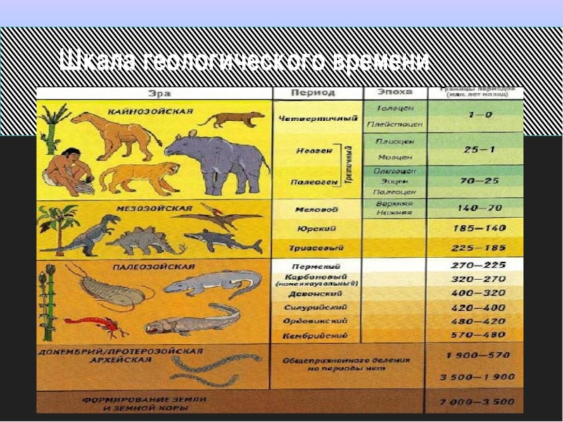 Возникновение и развитие жизни на земле презентация