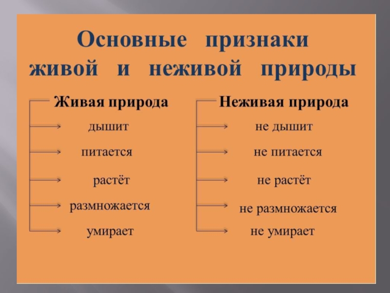 Соотнесите термин и определение былина изображение неживых предметов в виде живых существ