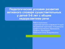 Презентация педагогические условия развития активного словаря существительных