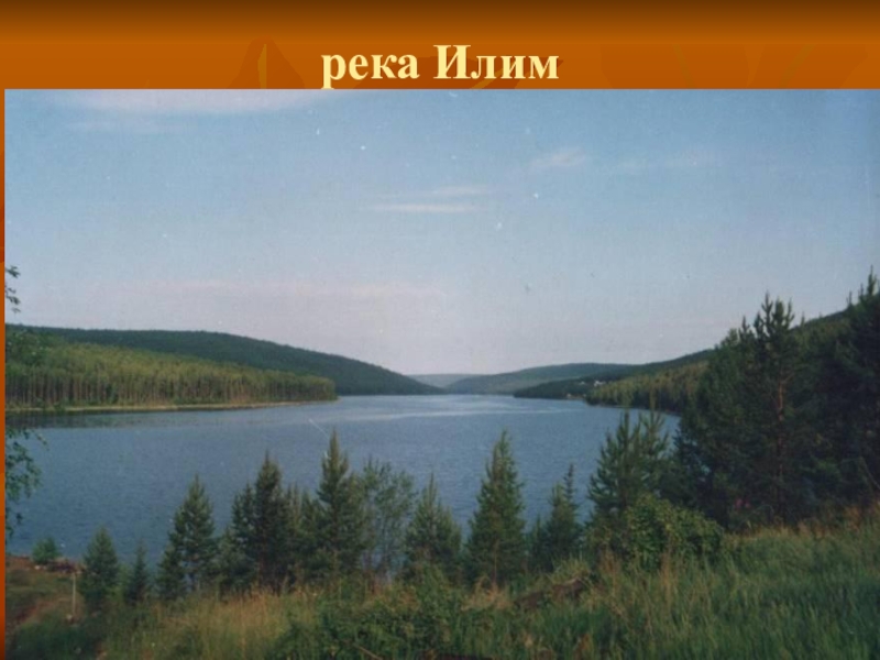 Карта реки илим