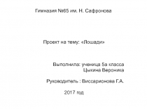 Проект на тему  Лошади