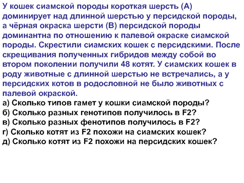 Длинная шерсть у кошек рецессивная по отношению. У кошек сиамской породы короткая шерсть доминирует над длинной. У кошек короткая шерсть доминирует над длинной. Чёрная окраска у кошек доминирует над палевой а короткая шерсть. Длинная и короткая шерсть кошки генотип.