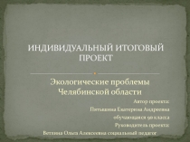 Индивидуальный итоговый проект Экологические проблемы Челябинской области (9 класс)