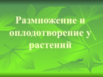 Презентация по теме: Размножение и оплодотворение для СПО