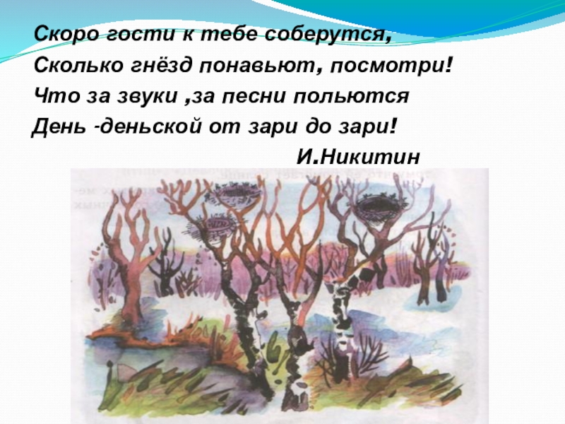 Скоро гости. Скоро гости к тебе соберутся сколько гнёзд понавьют посмотри. Сколько гнёзд понавьют, посмотри!. Скоро гости к тебе соберутся. Рисунок к стихотворению и.Никитина скоро гости к тебе соберутся.