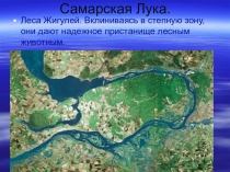 Презентация Национальный парк - Самарская Лука