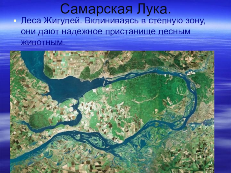 Самарская лука презентация