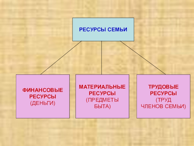 Ресурсы семьи схема