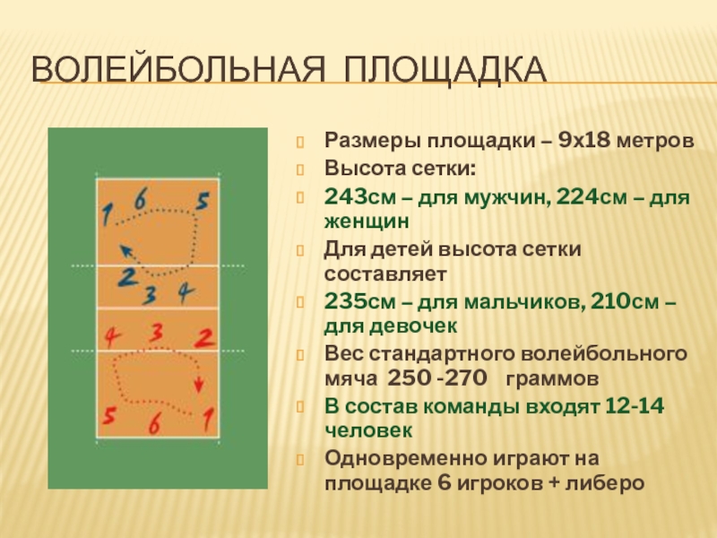 Волейбольная площадкаРазмеры площадки – 9х18 метровВысота сетки:243см – для мужчин, 224см – для женщинДля детей высота сетки