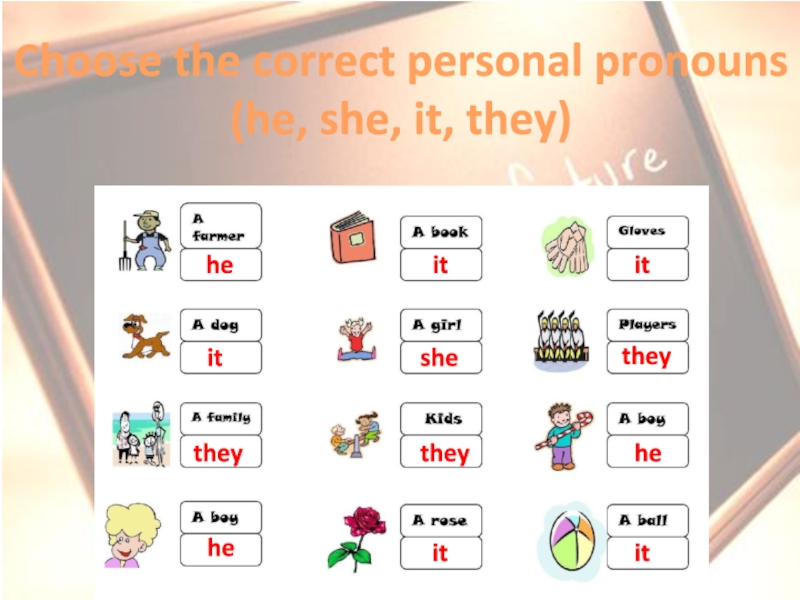 Correct personal pronoun. He she it they. Задание на he she it they. Personal she it 5 класс. Задание на сортировку he she it they.