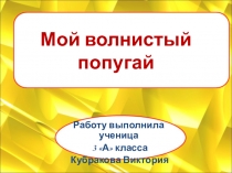 Попугай Кеша