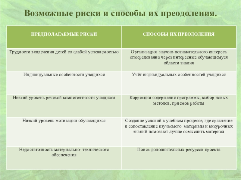 Риски и пути преодоления рисков в проекте доу