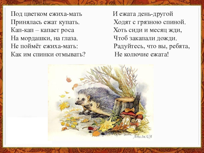 Нашли под кустом ежа. Стихотворение про маму ежиху. Под цветком ежиха мать. Под цветком ежиха мать принялась ежат купать. Стих про ежиху мать.