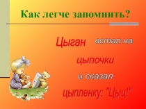 Презентация по русскому языку на тему: Правописание букв ы-и после ц (5 класс)