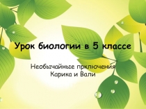 Презентация к уроку биологии в 5 классе на тему Беспозвоночные