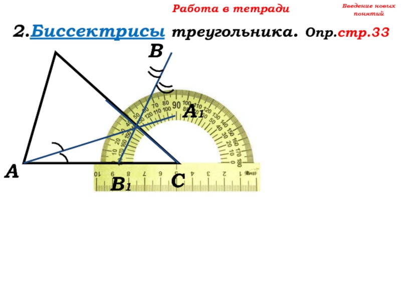 Биссектриса треугольника транспортиром