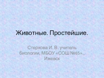 Презентация по биологии на тему Животные. Простейшие(5 класс)
