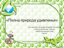 Презентация по окружающему миру Полна природа удивленья! 1 класс