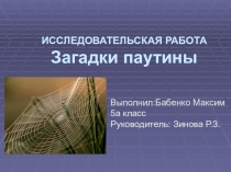 Презентация научно-исследовательской работы по биологииЗагадка паутины