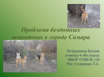 Проблема бездомных животных в городе Самара
