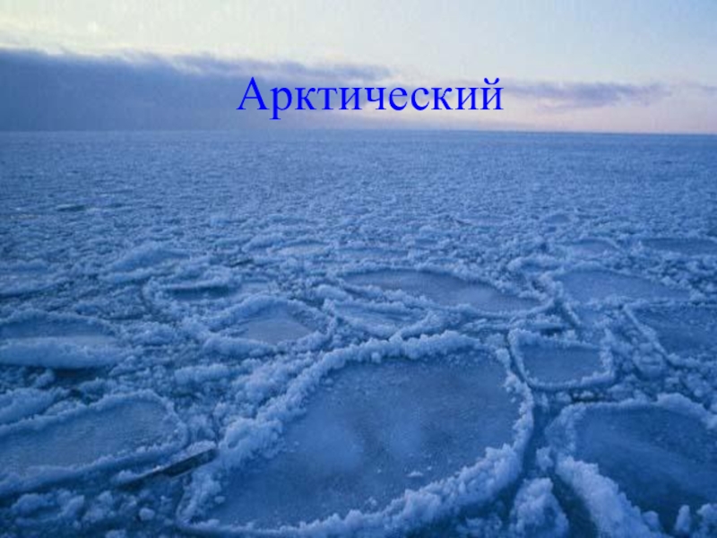 Воды евразии 7 класс. Внутренние воды Арктики. Внутренние воды Евразии. Арктические пустыни внутренние воды. Арктическая Евразия.