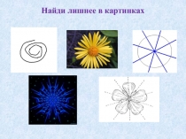 Презентация Удивительный мир симметрии