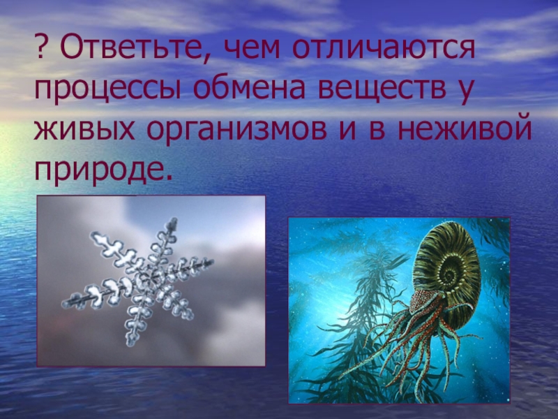 Процессы неживой природы. Обмен веществ в неживой природе. Обмен веществ объектов неживой природы. Чем различаются процессы обмена у живых организмов. Процесс обмена веществ в неживой природе.