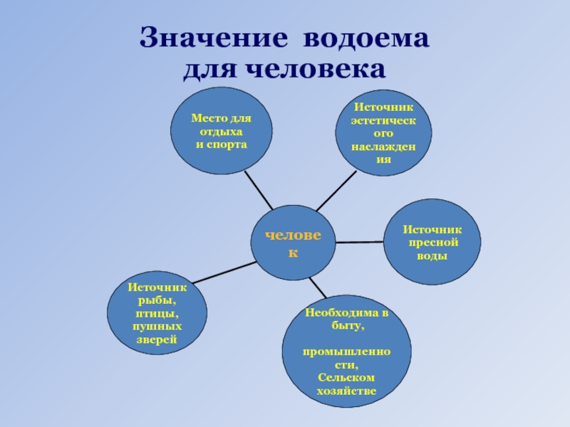 Схема значение водных богатств в жизни человека. Роль водоемов в жизни человека. Значение водоемов для человека. Значение водоемов в жизни людей. Значение пресных водоемов для человека.