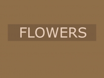 Презентация по английскому языку на тему FLOWERS