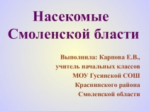 Презентация по Азбуке Смоленского края (региональный курс) на тему Насекомые Смоленской области