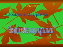 “Өсімдік сабағының құрылысы сабақ