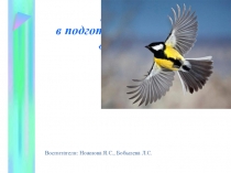 День птиц в подготовительной группе.