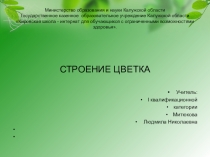 Презентация по биологии на тему: Строение цветка