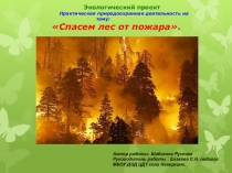 Презентация Спасем лес от пожара