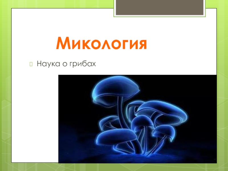 Кто изучает грибы. Микология. Микология это наука. Микология презентация. Наука о грибах.