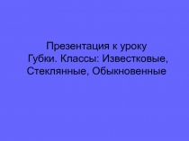 Презентация по биологии Губки (7 класс)