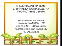 Презентация Прорастание семян (Дошкольное образование)