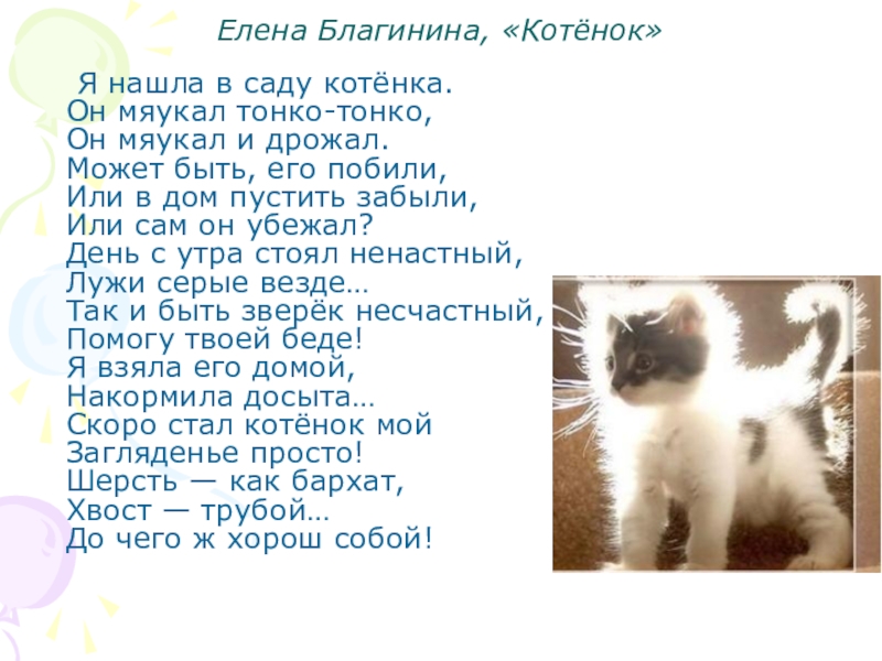 В каких произведениях есть котенок. Стихотворение Елены Благининой котенок. Стих котёнок Благинина. Я нашла в саду котенка он мяукал тонко-тонко.