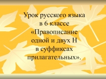 Презентация к уроку Правописание Н и НН в суффиксах прилагательных (6 класс)