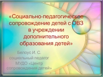 Социально-педагогическое сопровождение детей с ОВЗ в учреждении дополнительного образования детей
