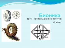 Презентация по биологии на тему Что изучает наука БИОНИКА ? 10 класс.