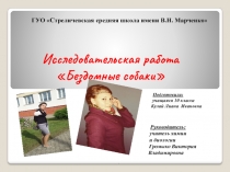 Презентация к исследовательской работе Бездомные собаки
