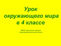 Презентация по окружающему миру на тему Водоемы нашего края