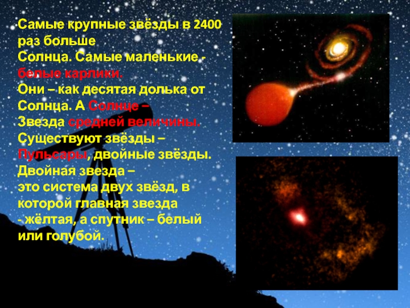 Самые крупные звёзды в 2400 раз больше Солнца. Самые маленькие - белые карлики.Они – как десятая долька